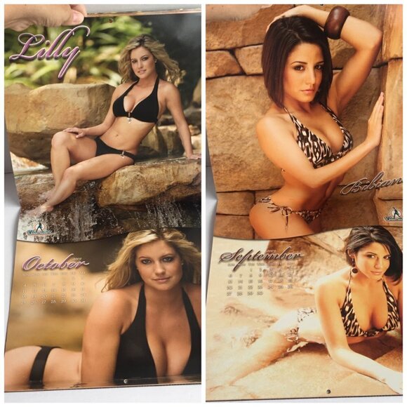 NEW Miami Dolphins Cheerleaders Discovery Cove 2008 2009 Sixteen Month Calendar - Picture 15 of 16